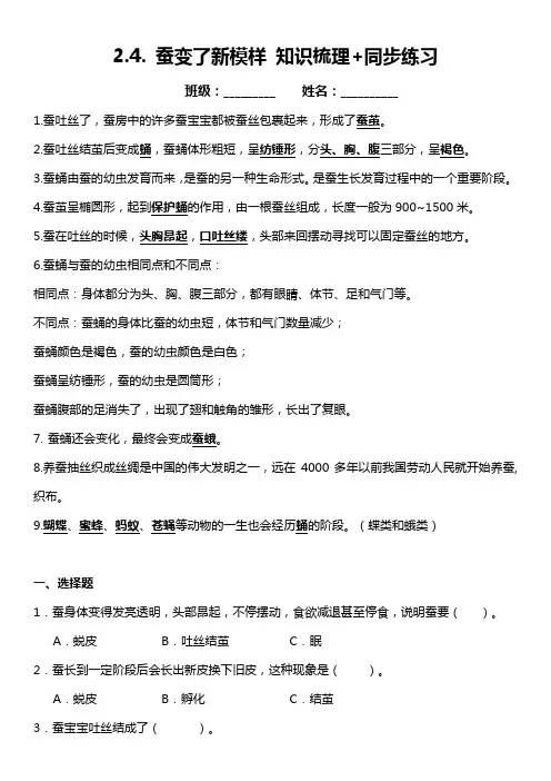 三年级科学下册2-4 蚕变了新模样 知识梳理 同步练习(含答案)