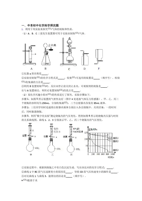 全国中考化学探究题的综合中考真题分类汇总附答案解析