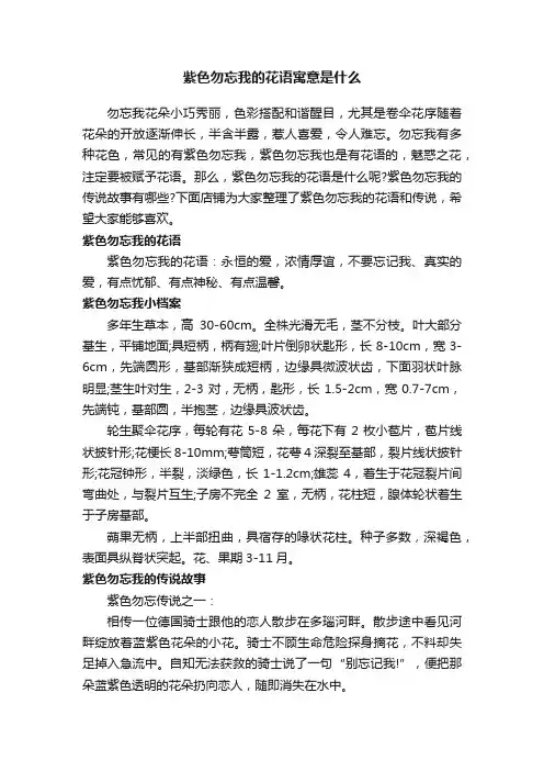 紫色勿忘我的花语寓意是什么