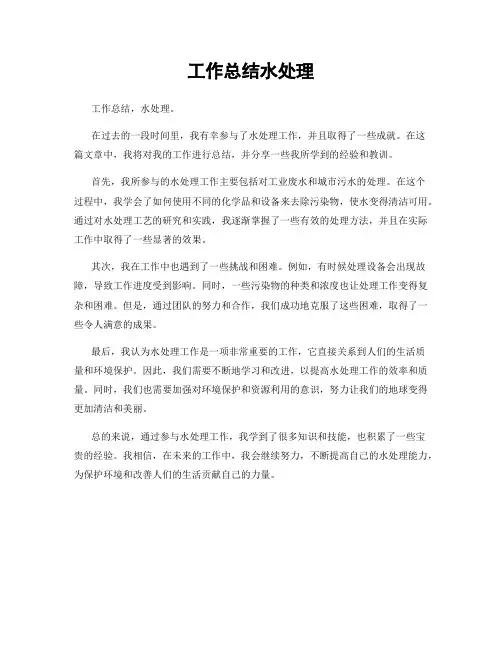 工作总结水处理
