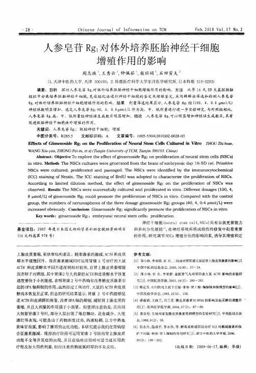 人参皂苷Rg1对体外培养胚胎神经干细胞增殖作用的影响