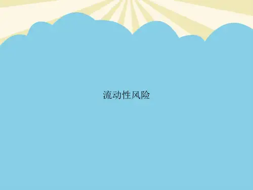 【最全】流动性风险.优质PPT