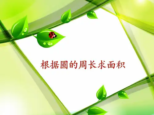 苏教版小学数学五年级下册第六单元《7.根据圆的周长求面积》PPT3