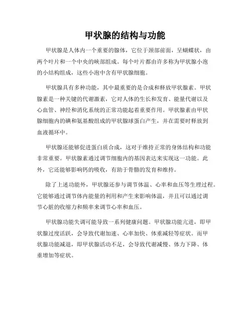 甲状腺的结构与功能