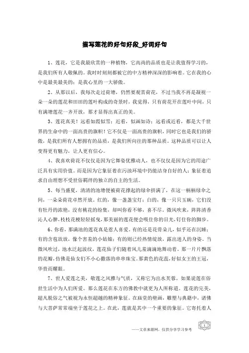 描写莲花的好句好段-好词好句