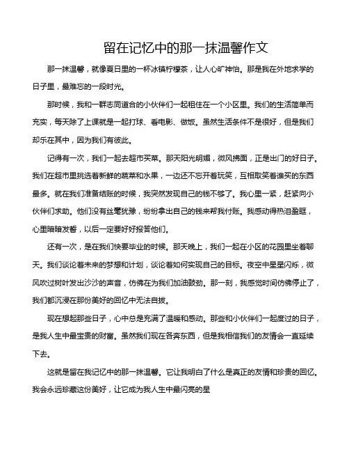 留在记忆中的那一抹温馨作文