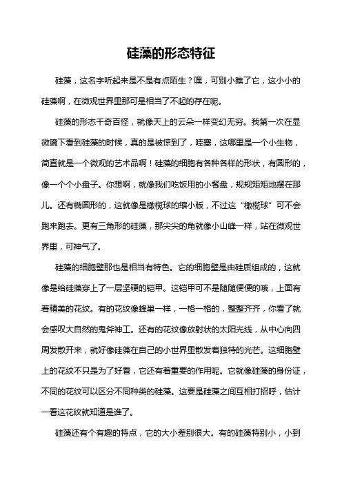 硅藻的形态特征