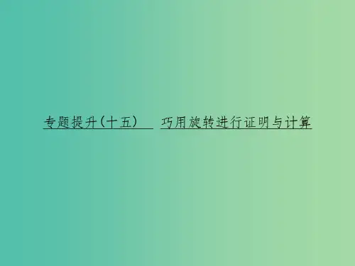 中考数学 专题提升十五 巧用旋转进行证明与计算复习