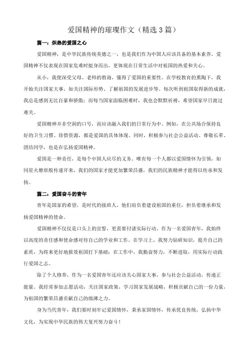 爱国精神的璀璨 作文(精选3篇)
