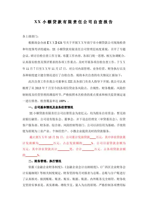 小额贷款有限责任公司自查报告