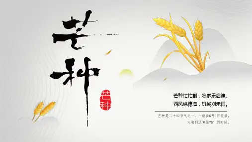 淡雅中国风传统二十四节气之芒种节日介绍ppt