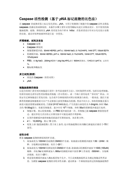 Caspase活性检测说明书