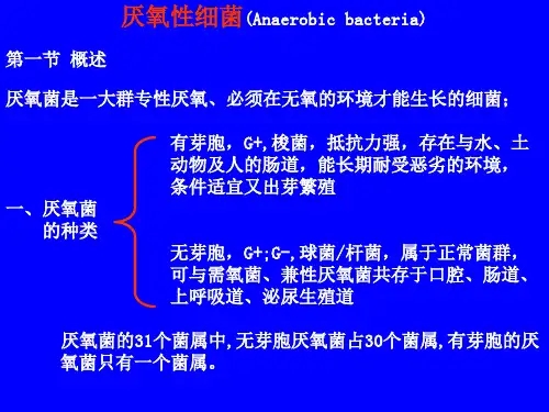 厌氧性细菌