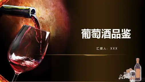 画册风葡萄酒品鉴红酒篇介绍PPT教学讲授课件