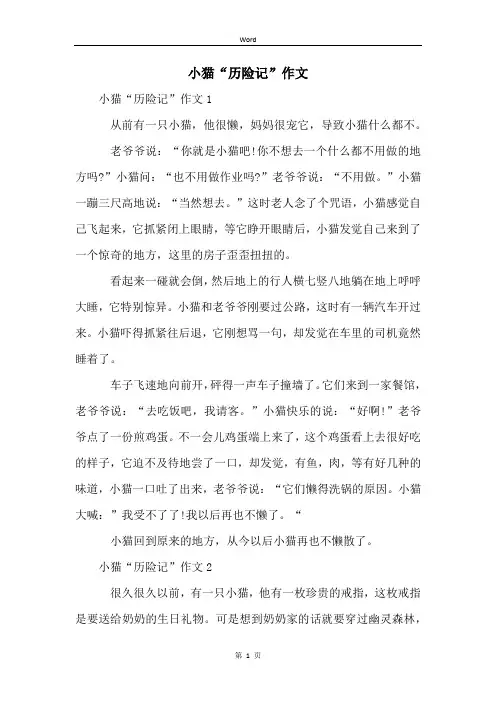 小猫“历险记”作文