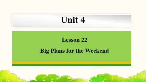 Unit4Lesson 22 Big Plans for the Weekend冀教版英语七年级下册