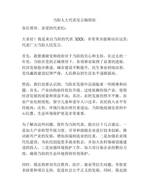 当阳人大代表发言稿简短