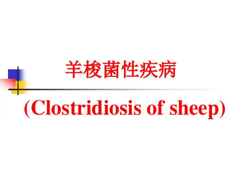羊梭菌性疾病