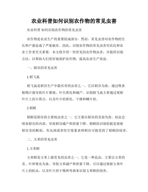 农业科普如何识别农作物的常见虫害