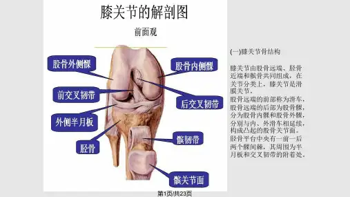 膝关节镜手术后的康复PPT课件