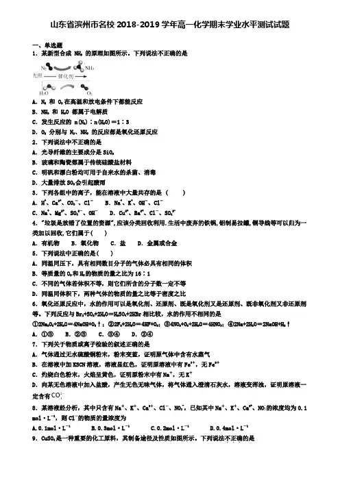 山东省滨州市名校2018-2019学年高一化学期末学业水平测试试题