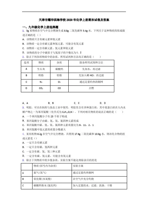 天津市耀华滨海学校2020年化学初三化学上册期末试卷及答案