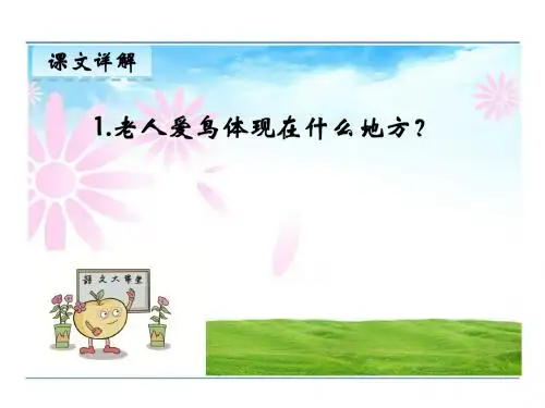 9.老人和鸟第二课时课件