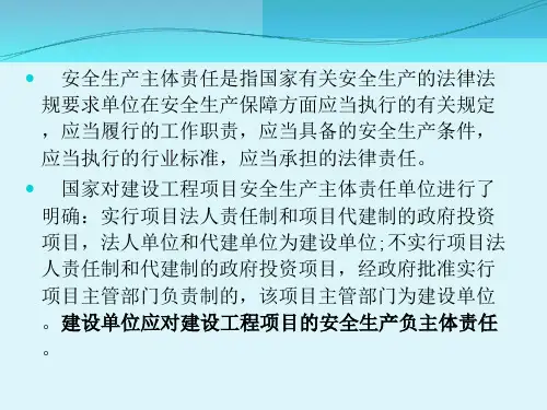 建设单位对项目建设应承担的安全主体责任ppt课件