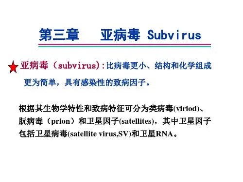 兽医病毒学课件： 亚病毒