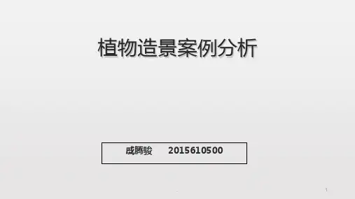 植物造景案例分析PPT课件