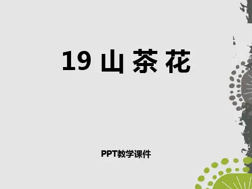 山茶花精品课件