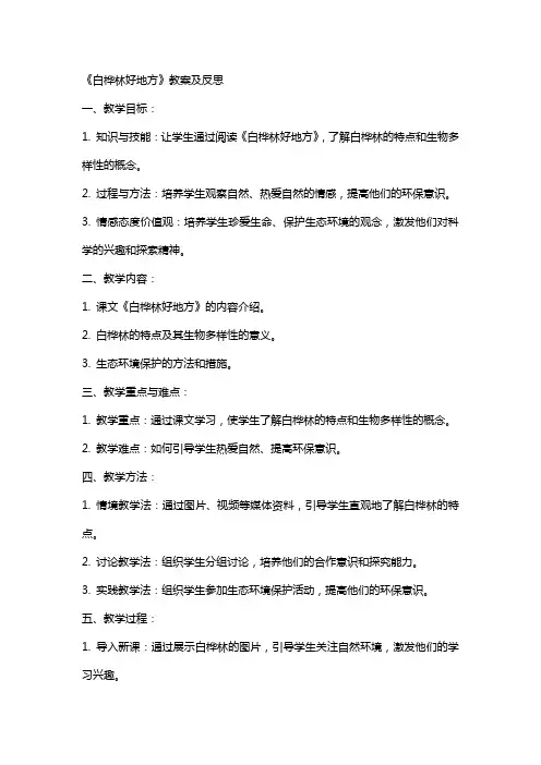 《白桦林好地方》教案及反思