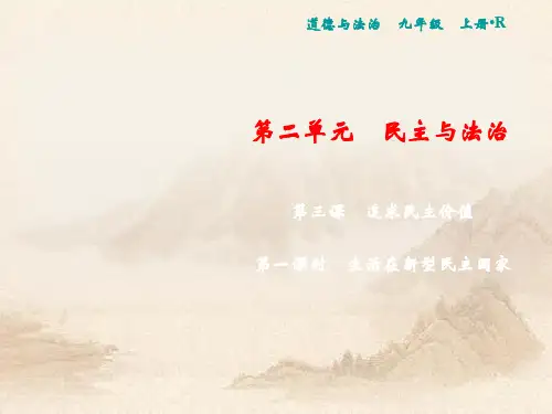 人教部编版九年级道德与法治上册训练3.1生活在新型民主国家(共18张PPT)教育课件