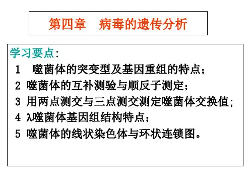 医学-第四章病毒遗传分析