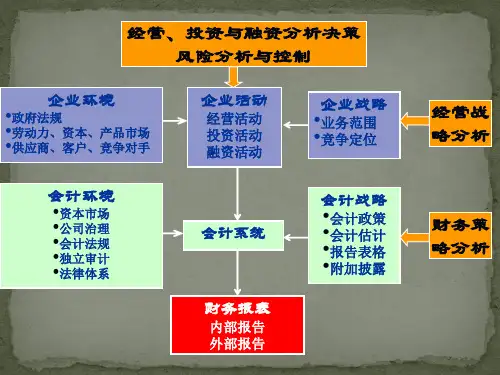 战略投资决策与财务报表分析(清华大学 肖星)