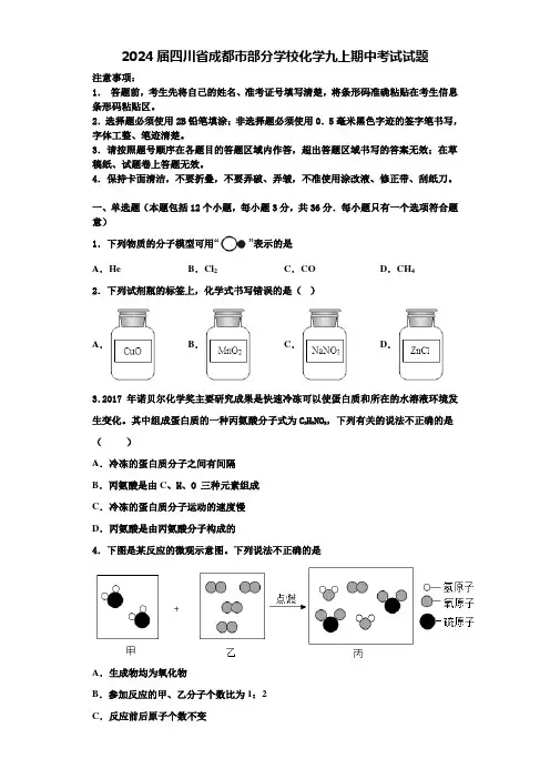 2024届四川省成都市部分学校化学九上期中考试试题含解析