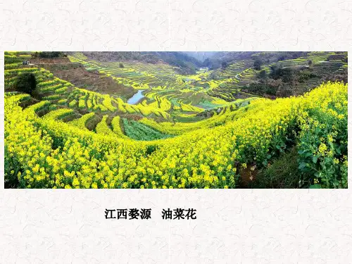 乡土地理   江西省