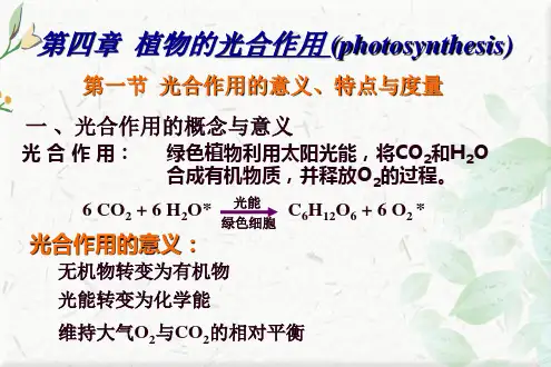 植物生理学-第四章ppt课件