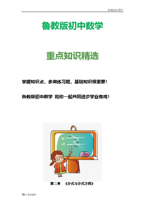鲁教版初中数学八年级上册《分式与分式方程》单元练习2测试卷练习题