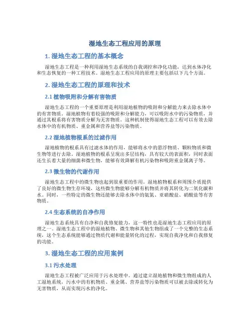 湿地生态工程应用的原理
