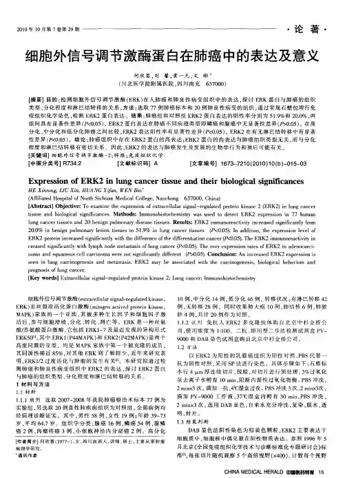 细胞外信号调节激酶蛋白在肺癌中的表达及意义
