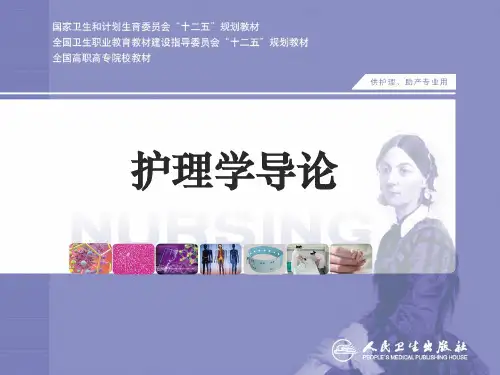 护理程序 (2)