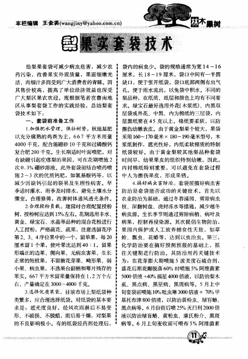 梨果实套袋技术