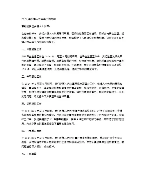 2024年乡镇人大半年工作总结范文