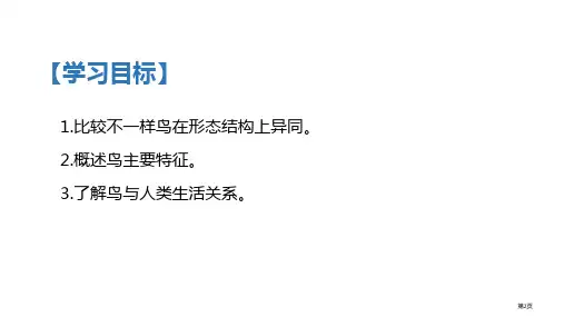 鸟教学课件市公开课一等奖省优质课获奖课件.pptx