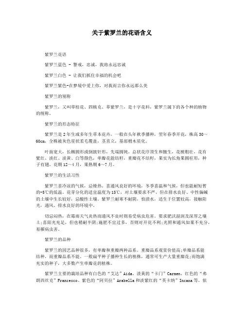 关于紫罗兰的花语含义