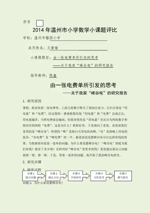 1.关于峰谷电的调查报告