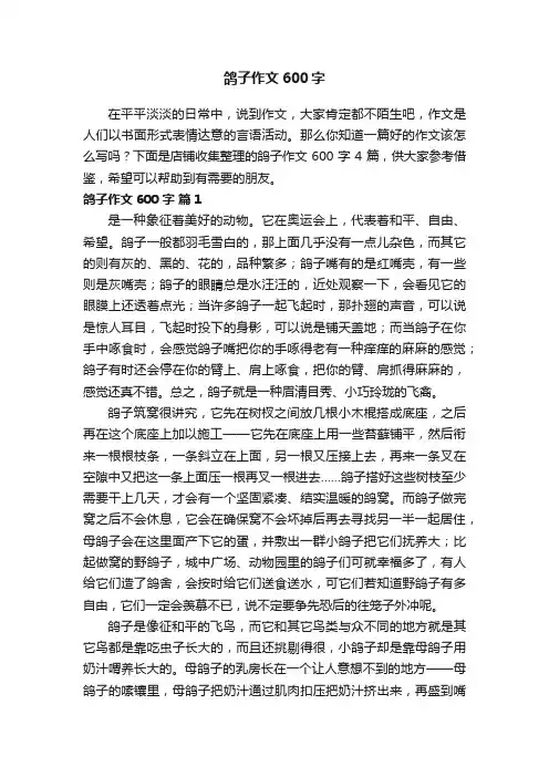 鸽子作文600字
