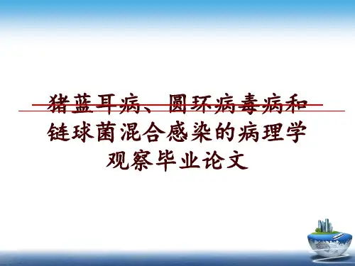 猪蓝耳病、圆环病毒病和链球菌混合感染的病理学观察毕业ppt课件