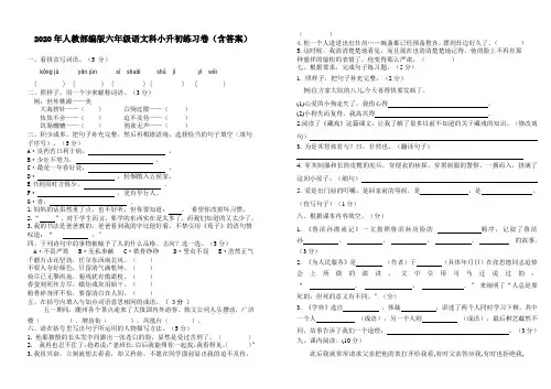 【精品】2020年人教部编版六年级语文小升初练习卷(含答案)